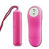  PINK BI-014131P