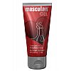 Masculan ���� 50 ��, ��������� (������ ��������)