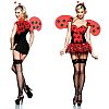   LADY BUG