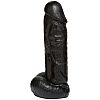 - Kong - 20,8 .