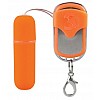   Remote Vibrating Bullet 