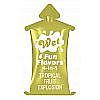 - Wet Fun Flavors Tropical Fruit Explosion, 10 