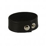 Apollo Adonis Leather Collection 
    ,  ,     .