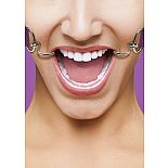 ���� OUCH! HookPurple SH-OU106PUR 
����������� ���� � ����� ���� ������ � ���������� ������������� ��� ����������� �������������.