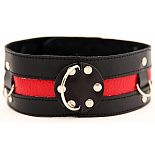 <strong>Ошейник черный с красным 55005ars</strong> <br />
<div class="charTableblock"><div><span>Материал</span>: кожа</div><div><span>Цвет</span>: черный; красный, розовый</div></div> Ошейник черный с красным 55005ars