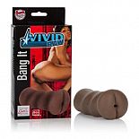 �����������-����  VIVID RAW BANG IT  
�����������-����  VIVID RAW BANG IT. 