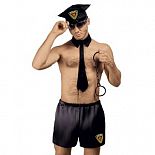 ������� ������ ���� 
������ ������������ �������: �������� �����, �������� � ���������, ������� � �������� �������.