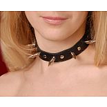 <strong>Ошейник кожаный черный шириной 20мм с шипами длиной 25мм с цепочкой 3103-1</strong> <br />
Изготовлен из натуральной кожи с велюровой подкладкой. <div class="charTableblock"> </div> Ошейник кожаный черный шириной 20мм с шипами длиной 25мм с цепочкой 3103-1
Изготовлен из натуральной кожи с велюровой подкладкой.