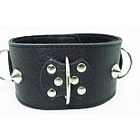 <strong>Ошейник толстый с шипами 55008ars</strong> <br />
<div class="charTableblock"><div><span>Материал</span>: кожа</div><div><span>Цвет</span>: черный</div></div> Ошейник толстый с шипами 55008ars