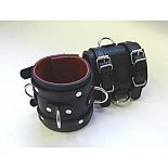 ������� �������� ��������� � 2 ���������, 3 D-�������� � ������� �������� 
�������� - 2 ������� � ��������  � 3 �������� D-��������, ��� �������������� ��������  �������� � ������� �����  ���� ������ ������ � ������� �����.