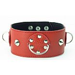 <strong>Ошейник красный с шипами 55017ars</strong> <br />
Красный кожаный ошейник с короткими шипами. <div class="charTableblock"><div><span>Материал</span>: кожа</div><div><span>Цвет</span>: красный, розовый</div></div> Ошейник красный с шипами 55017ars
Красный кожаный ошейник с короткими шипами.