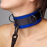 <strong>Чёрно-синий неопреновый ошейник</strong> <br />
Ошейник выполнен из современного материала № мягкого пенистого неопрена, ламинированного шелковистым спандексом (относится к классу Soft-bandage), прекрасный аксессуар для начинающих. <div class="charTableblock"><div><span>Материал</span>: текстиль</div><div><span>Цвет</span>: другой</div><div><span>Производитель</span>: Sitabella, Россия</div></div> Чёрно-синий неопреновый ошейник
Ошейник выполнен из современного материала № мягкого пенистого неопрена, ламинированного шелковистым спандексом (относится к классу Soft-bandage), прекрасный аксессуар для начинающих.