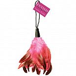 ������� ������� ��� ��������� Feather Tickler 
��������� ������ �� �������� ���������� ������ - ���������-��������� �����.