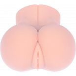 �����������-�������� Ella � ������� 
����������� Ella ������ �� ���������, ��������� ����������� ������������ ���� ������ ��������.