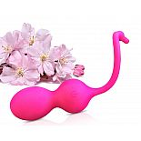 ����������� �����-��������, ����������� � ��������� iOs � Android iBall-1 
����������, ������� ����������� � ������������� ��� ����������, ����������� � ����� � �������������� ��������� ������.