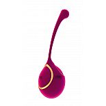 ������� ��������� Zeki 
����� ������� � ���� ������� ��� �������� - ��������� ��������� � ���������� ��������, ����������� ������� � ������������� ����������.