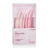 ����� ����������� ���������� �� �������� (5 ��������������� ������� �������) INSPIRE SILI DILATOR 5 P 
����� ����������� ���������� ��� �������������� ������������� ������ ���������.