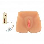 <strong>Реалистичная вагина с вибрацией Magic Flesh Shaved Pussy </strong> <br />
Реалистичная вагина и анус из ТПЕ. <div class="charTableblock"><div><span>Материал</span>: TPE / TPR</div><div><span>Цвет</span>: телесный</div><div><span>Наличие вибрации</span>: с вибрацией</div><div><span>Особенности</span>: вагина</div></div> Реалистичная вагина с вибрацией Magic Flesh Shaved Pussy
Реалистичная вагина и анус из ТПЕ.