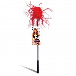 ��������� ������� � �������� ������� FEATHER TICKLER LF1460-RED 
��������� ������� �� �������� � ������ �������� ������������ �� ������� ������.