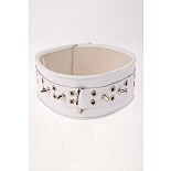 <strong>Ошейник с шипами широкий белый</strong> <br />
Ошейник <div class="charTableblock"><div><span>Материал</span>: кожа</div><div><span>Цвет</span>: белый</div></div> Ошейник с шипами широкий белый
Ошейник