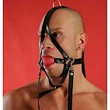      P82A 
<br>: <b> </b><br/>