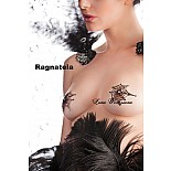    Ragnatele 
