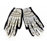 �������� ������� 
�������� �������