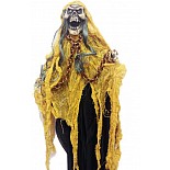 ��������� ������ ������ �� ������ 
��������� ������ ������ �� ������