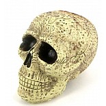 ����� ������� 
����� �������