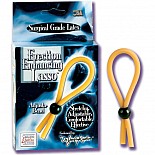 ����� �� ����� DR. JOEL KAPLAN 5651-00 BX SE 
������ � ���������� ����� �������� ����� �� �����.