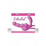 ������� ����������� Mischief � ����������� ������ ������� 
����������� ������� Mischief � ����������� ������ ������� � ������������ ������� ��� ������, ��� ������ � ���������.