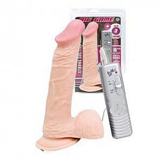 �������� ��������-��������� �� �������� � �������� ������� - 20,2 ��. 
�������� ��������-��������� �� �������� � �������� �������.