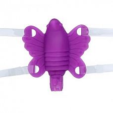    Butterfly Baby  
       ,    .