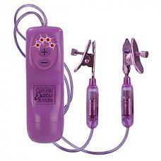 <strong>Вибростимулятор для сосков Nipple Teasers</strong> <br />
Вибростимулятор для сосков пурпурного цвета.<div class="charTableblock"> </div> Вибростимулятор для сосков Nipple Teasers
Вибростимулятор для сосков пурпурного цвета.