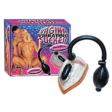 <strong>Женская вакуумная помпа с вибрацией и грушей</strong> <br />
Вакуумная помпа с вибрацией для стимуляции женских половых органов.<div class="charTableblock"> </div> Женская вакуумная помпа с вибрацией и грушей
Вакуумная помпа с вибрацией для стимуляции женских половых органов.