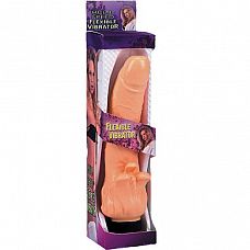      SUPER BEAK 8 FLESH - 20,2 . 
SUPER BEAK 8 FLESH

Multispeed flexible vibrator. Phthalate free.


Material

PVC / ABS


Color

Flesh

Size

20.2cm - 8inch

Diameter

3.5cm - 1.4inch

Gross weight

0.23 KG

Type batteries

2 x AA