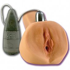 <strong>Вагина с вибрацией Jesse Jane</strong> <br />
Вагина из реалистичного материала Futurotic со специальным отверстием для вибро-яичка.<div class="charTableblock"> </div> Вагина с вибрацией Jesse Jane
Вагина из реалистичного материала Futurotic со специальным отверстием для вибро-яичка.