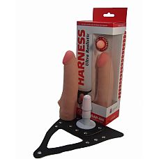  Harness - 19   
 Harness,   .