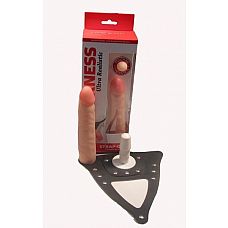  Harness - 18,5 ,  
        .
