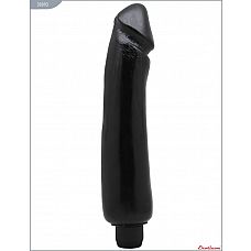 ׸  - - 24 . 
, , , , EROTICON Wash   Go.
