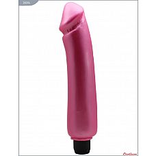     - 24 . 
, , , , EROTICON Wash   Go.