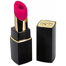 Womanizer 2Go -   ,  -     
  - Womanizer 2Go,    .