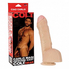    CARLO MASI 6832-01 BX SE 
 -     .