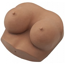 <strong>Реалистичный мастурбатор грудь латиночки NOCHES LATINAS </strong> <br />
Суперреалистичный мастурбатор в виде пышной груди смуглой латиночки в натуральную величину. Выполнен из материала UR3, самого реалистичного материала на сегодняшний день, который имитирует человеческую кожу. Мягкие и приятные на ощупь груди и соски позволят насладиться секс-игрой, как вы этого захотите сами. Мастурбатор также имеет два отверстия для традиционной мастурбации. Игрушка абсолютна гипоаллергенна и не содержит вредных фталатов. Размер игрушки 23 см x 25 см.<div class="charTableblock"> </div> Реалистичный мастурбатор грудь латиночки NOCHES LATINAS
Суперреалистичный мастурбатор в виде пышной груди смуглой латиночки в натуральную величину. Выполнен из материала UR3, самого реалистичного материала на сегодняшний день, который имитирует человеческую кожу. Мягкие и приятные на ощупь груди и соски позволят насладиться секс-игрой, как вы этого захотите сами. Мастурбатор также имеет два отверстия для традиционной мастурбации. Игрушка абсолютна гипоаллергенна и не содержит вредных фталатов. Размер игрушки 23 см x 25 см.