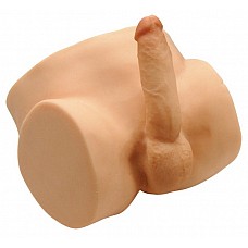 <strong>Мужской полуторс с пенисом и анусом в натуральную величину</strong> <br />
CyberSkin материал, виртуальные 3D технологии, двойная плотность - все это дает ощущения от массажера ,как от настоящего мужского тела.Имеет функцию нагрева в течении 10 минут до комфортной температуры. Multi-скорость пули обеспечивает изменение скорости и интенсивную вибрацию. Фаллос длиной 18 см, 5см в обхвате. Сам массажер достаточно тяжелый, чтобы чувствоватьего как реального партнера. Не содержит ПВХ, латекса или фталатов <div class="charTableblock"> </div> Мужской полуторс с пенисом и анусом в натуральную величину
CyberSkin материал, виртуальные 3D технологии, двойная плотность - все это дает ощущения от массажера ,как от настоящего мужского тела.Имеет функцию нагрева в течении 10 минут до комфортной температуры. Multi-скорость пули обеспечивает изменение скорости и интенсивную вибрацию. Фаллос длиной 18 см, 5см в обхвате. Сам массажер достаточно тяжелый, чтобы чувствоватьего как реального партнера. Не содержит ПВХ, латекса или фталатов