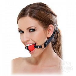    Two Tone Ball Gag