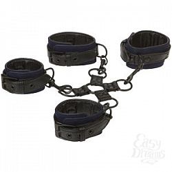  ����� James Deen: Black   Blue - Total Submission