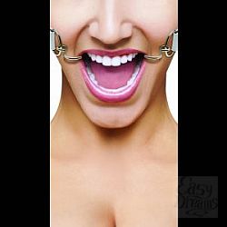     Hook Gag