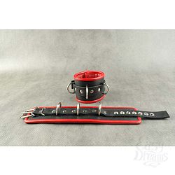  ׸���� ��������� ��������� � 3 �������� D-�������� � ������� ���������