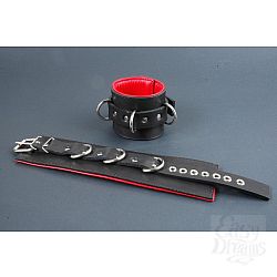  ����������� ������ ��������� � ���������-�������� � ������� ��������